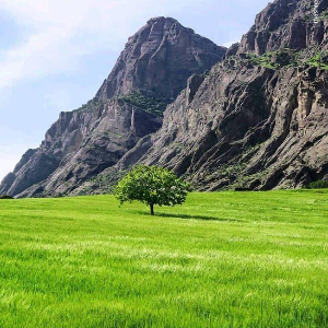 มะฟาติฮุลฮายาต หมายเลข 246