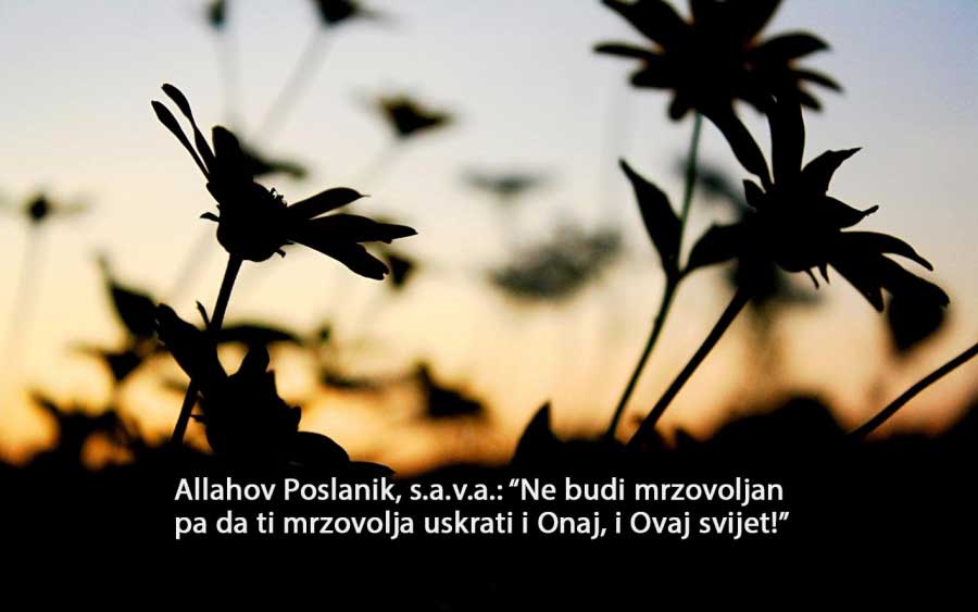 Upozoravanje na mlitavost u radu