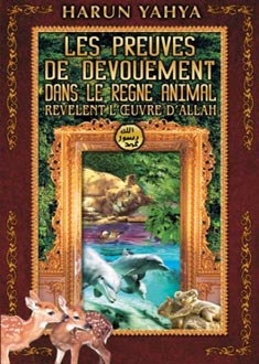 LES PREUVES DE DEVOUEMENT DANS LE REGNE ANIMAL REVELENT L'ŒUVRE D'ALLAH