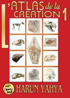 L'ATLAS DE LA CREATION - vol.1