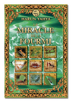LE MIRACLE DE LA FOURMI