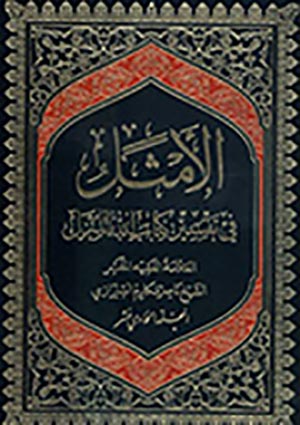 الأمثل في تفسير كتاب الله المنزل- الجزء 11
